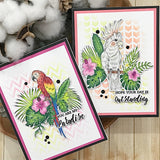 6x8 Tropical Bird Stamp and Coordinating Die Set