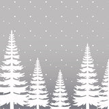 6x6 Winter Flurries Pattern Paper Pad