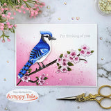 Layering Blue Jay Craft Metal Die Set