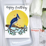 Spring Birds 6x8 Stamp and Coordinating Die Bundle